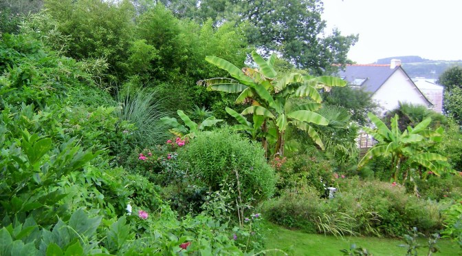 Brittany Terraced Garden with a Tropical Feel