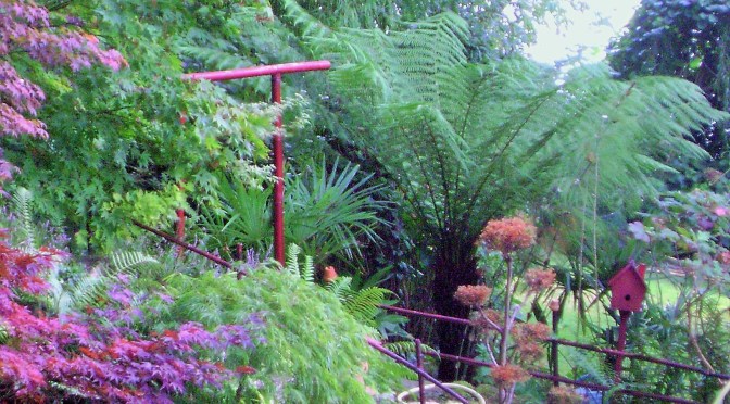 Woodland Shade and Bamboo Garden