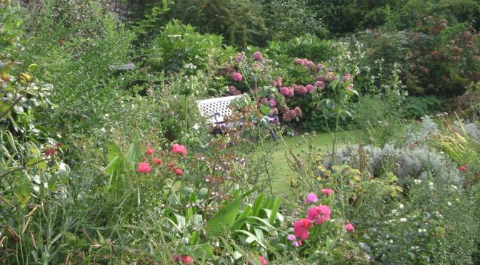 Blooming Seaside Cottage Garden in Brittany, France