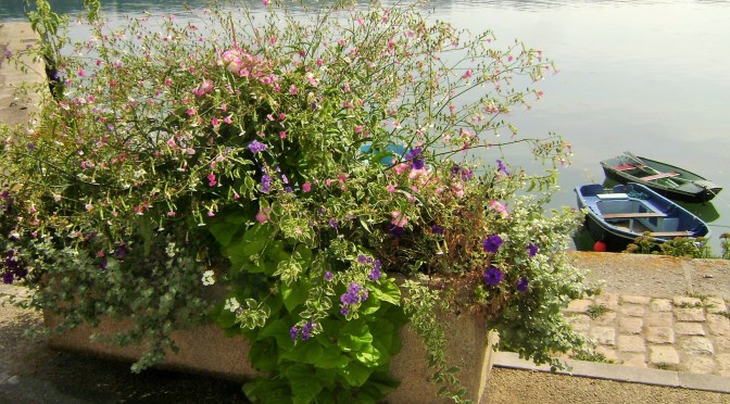 Container Gardening Ideas From Brittany Villages