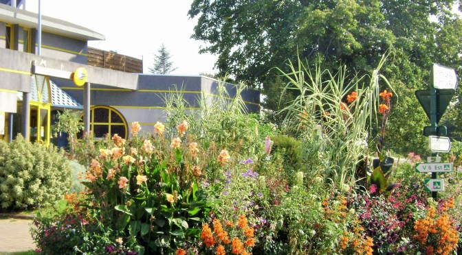 Unusual Post Office Perennial Borders in France