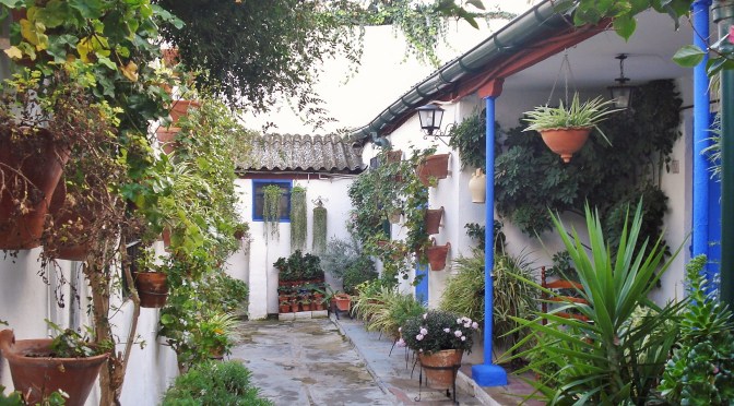 Casa del Patio in Cordoba: Vertical & Container Gardening Ideas
