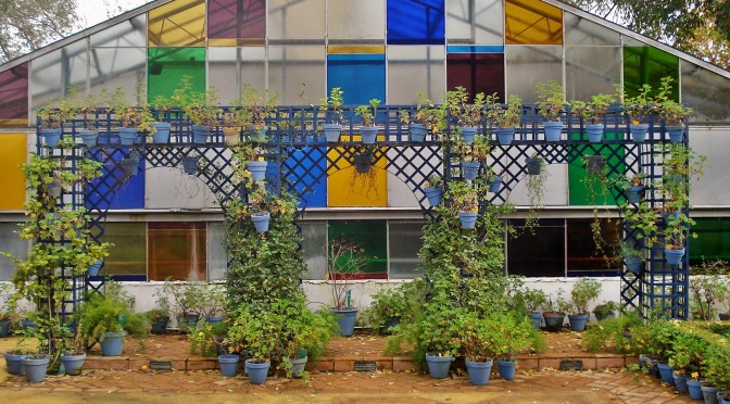 Cordoba Botanical Gardens: The Andalusian Patio