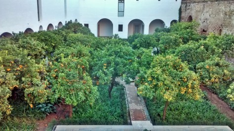 IMG_20141202_083832419_HDR