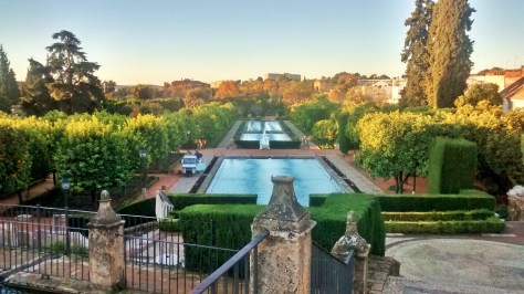 IMG_20141202_084108922_HDR