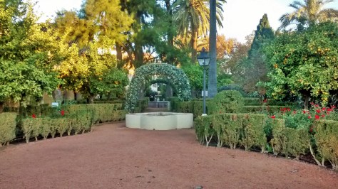 IMG_20141202_084149440_HDR