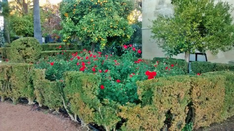 IMG_20141202_084159055