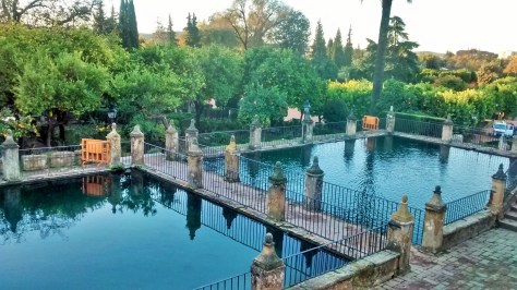 IMG_20141202_084214394_HDR