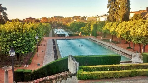 IMG_20141202_084336429_HDR