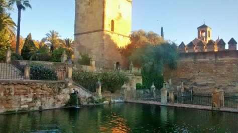 IMG_20141202_084347599