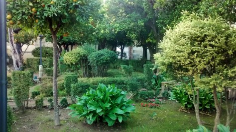 IMG_20141202_084402550