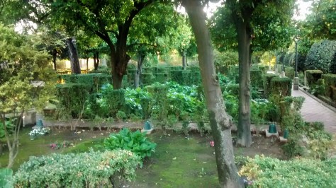 IMG_20141202_084406472