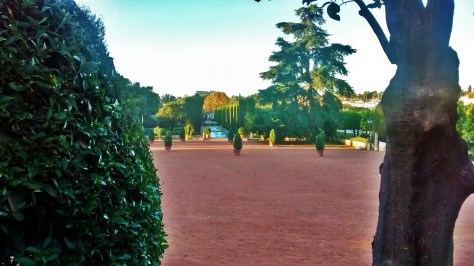 IMG_20141202_084531006_HDR