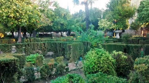 IMG_20141202_084555839