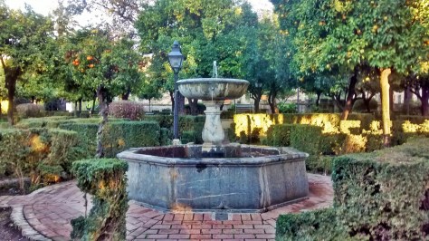 IMG_20141202_084633127_HDR