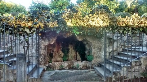 IMG_20141202_084714209_HDR