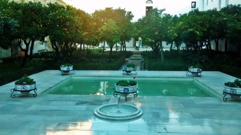 IMG_20141202_085005905