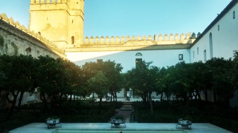 IMG_20141202_085012985_HDR