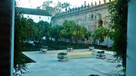 IMG_20141202_085357573