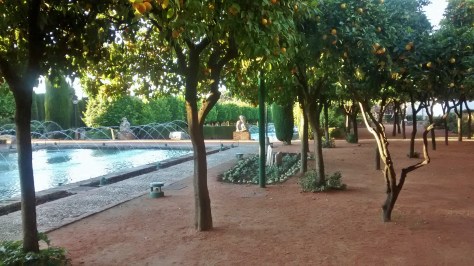 IMG_20141202_085746160