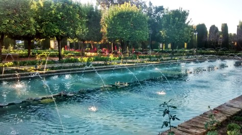 IMG_20141202_085920474_HDR