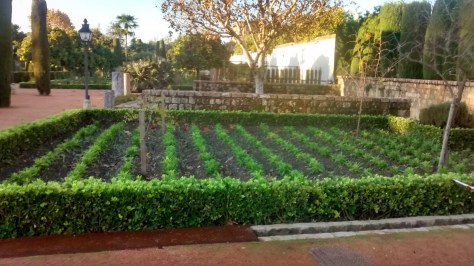 IMG_20141202_085946860_HDR