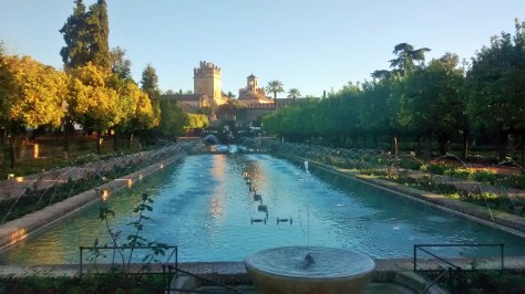 IMG_20141202_085958254