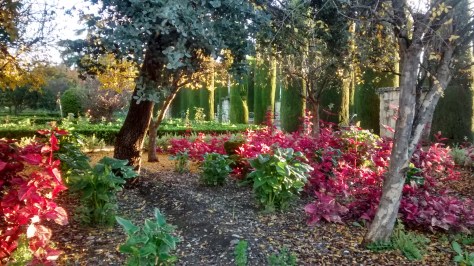 IMG_20141202_090026389_HDR