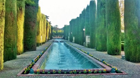 IMG_20141202_090052599_HDR