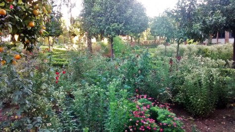 IMG_20141202_090531795