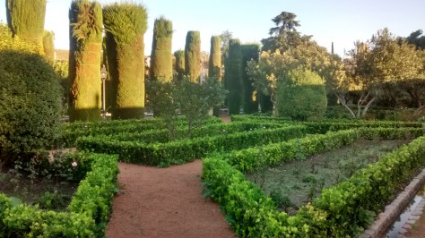 IMG_20141202_090638095_HDR