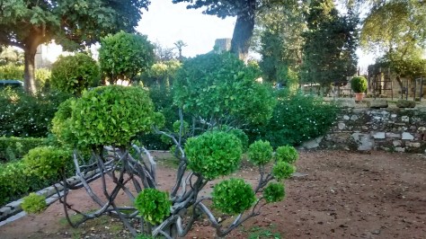 IMG_20141202_090732848_HDR