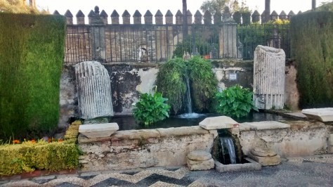 IMG_20141202_091225454_HDR