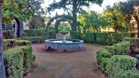 IMG_20141202_091449656_HDR