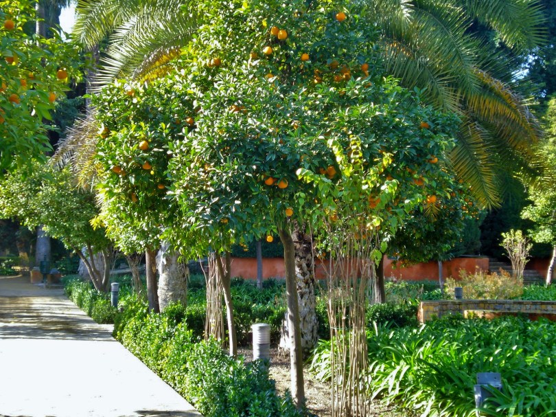 Alcazar Gardens, Sevilla