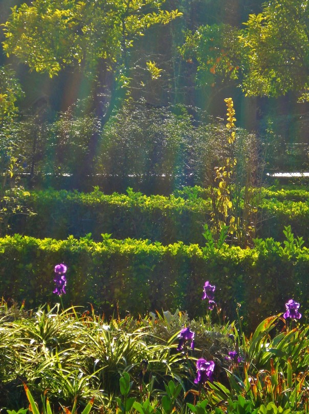 Alcazar Gardens, Sevilla