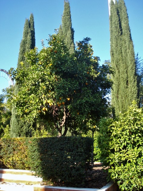 Guadalquivir Gardens (Jardines del Guadalquivir), Sevilla, Spain