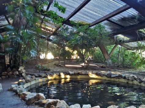 Jardin Amercican, Botanical Gardens, Seville, Spain