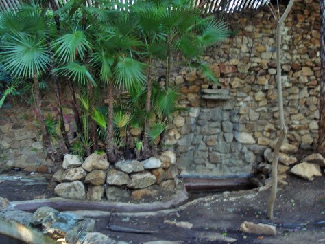 Jardin Amercican, Botanical Gardens, Seville, Spain
