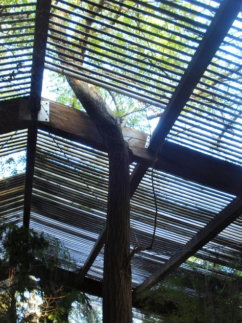 Jardin Amercican, Botanical Gardens, Seville, Spain