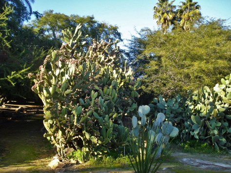 Jardin Amercican, Botanical Gardens, Seville, Spain