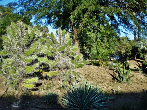 Jardin Amercican, Botanical Gardens, Seville, Spain