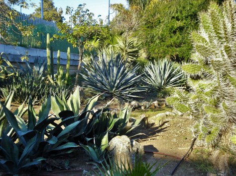 Jardin Amercican, Botanical Gardens, Seville, Spain