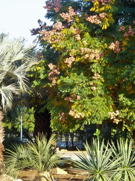 Jardin Amercican, Botanical Gardens, Seville, Spain