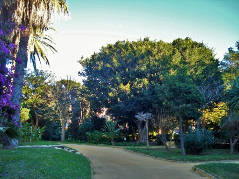 Parque Genoves, Cadiz (Spain) park and botanical gardens