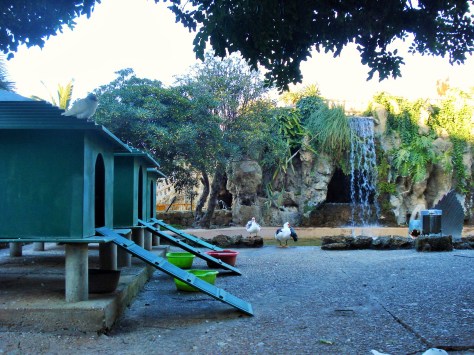 Parque Genoves, Cadiz (Spain) park and botanical gardens