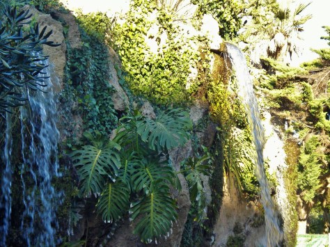 Parque Genoves, Cadiz (Spain) park and botanical gardens