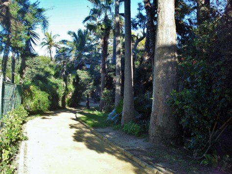 Parque Genoves Botanical Gardens, Cadiz, Spain