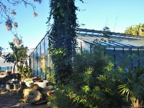 Parque Genoves Botanical Gardens, Cadiz, Spain