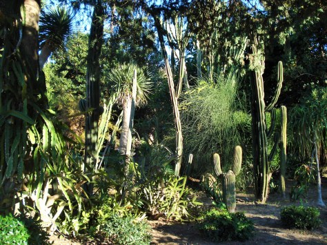 Parque Genoves Botanical Gardens, Cadiz, Spain